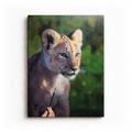 Lion Cub