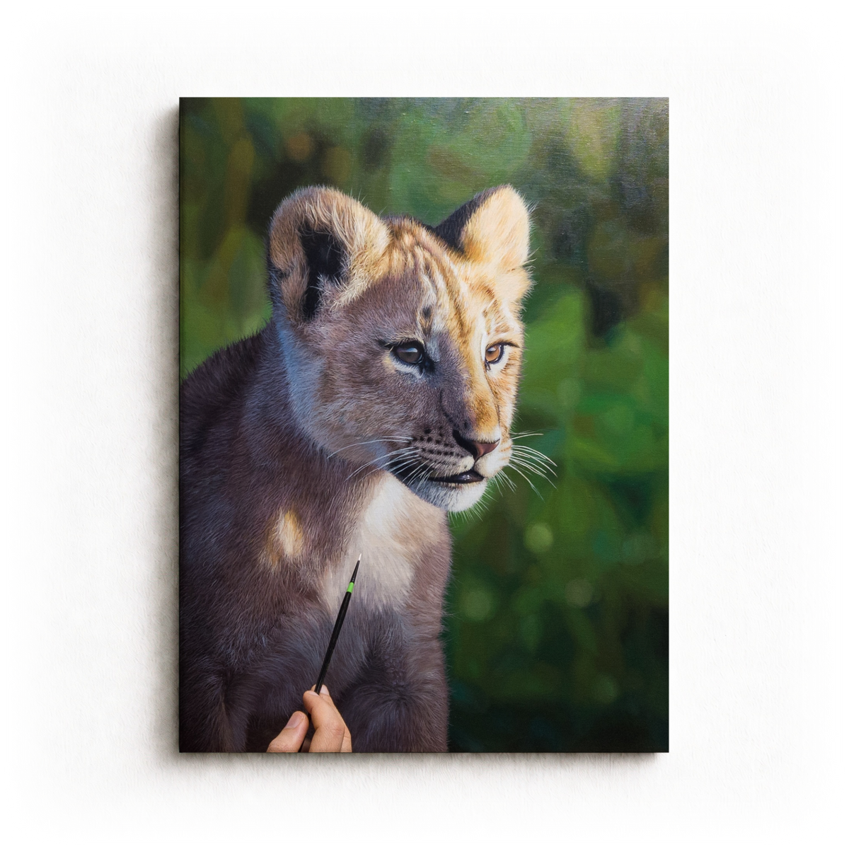 Lion Cub